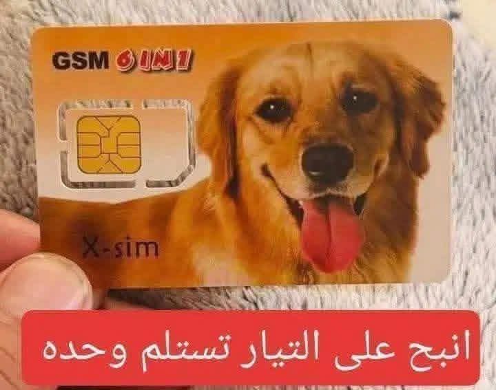 maith1977's tweet photo. @d313p_ @Mu_AlSadr ابن المطي شوكت التيار الصدري طالع مستقبل اوردغان حتى بهذة الكذب مالتكم مخربط https://t.co/OgUqE0kQlH