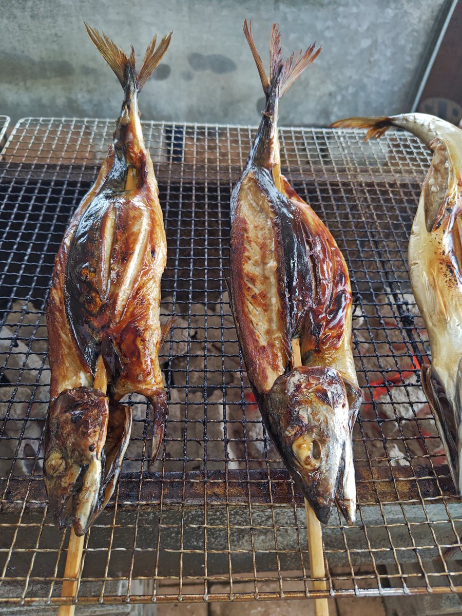 Renwoubow's tweet photo. 今年の紋日ラリーが始まったΣ(￣□￣;) https://t.co/3rbVeLA1Cq