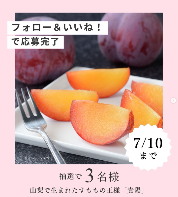 shokuikuzennoh's tweet photo. 🎁全農公式Instagram7月のプレゼントキャンペーン🎁

公式Instagramアカウント
「全農広報部【公式】／食の便利帳（@ zennoh_official）」
では毎月プレゼント企画を実施中

今月は3名様に「山梨県産のすもも（貴陽 ）約1.7kg」が当たる!
締切👉2026/7/10

詳細は全農公式Instagramをチェック👀

#全農 https://t.co/Me240ZsnLC
