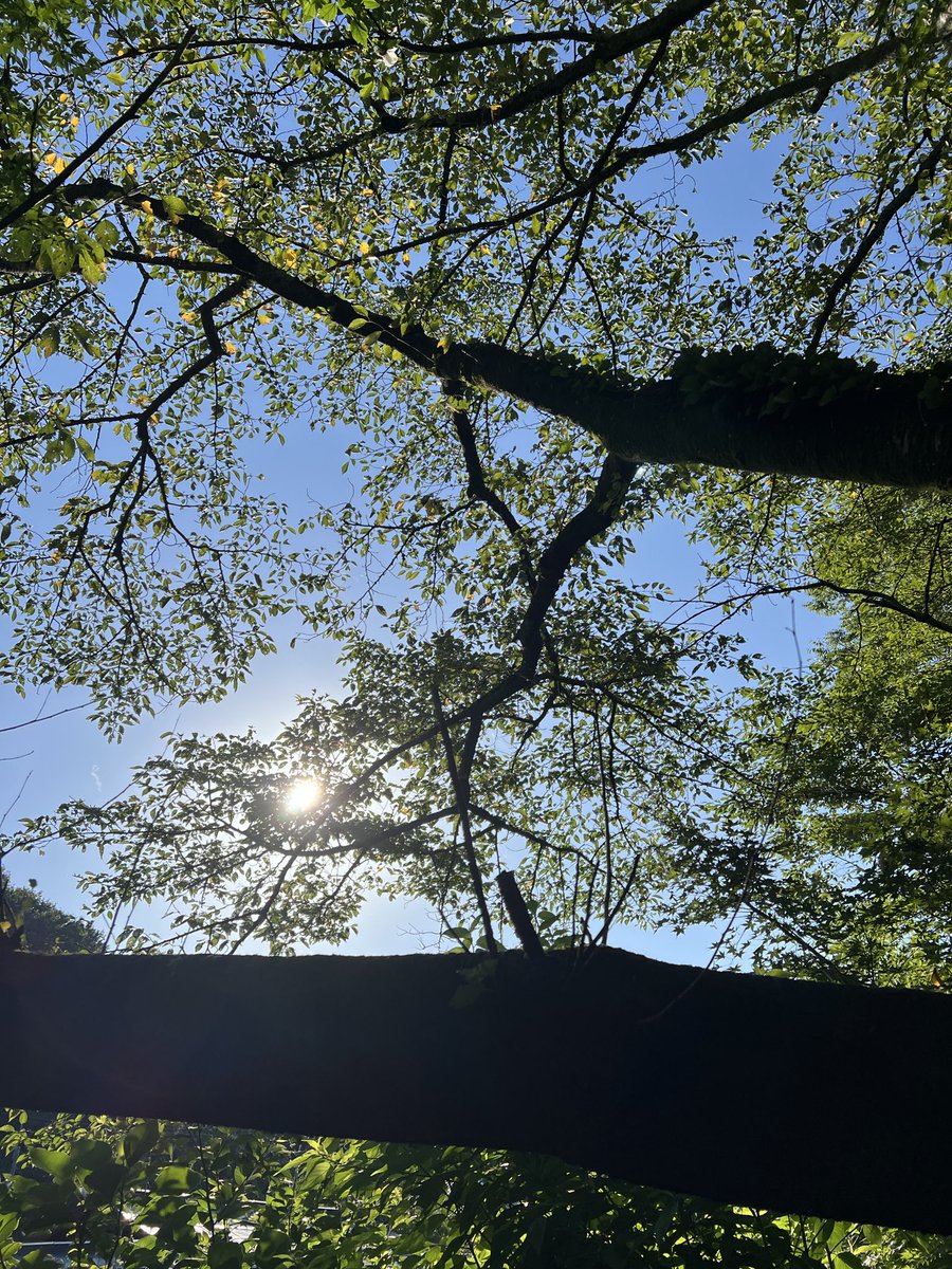 okiramy's tweet photo. 新しい経験を受け容れなくなったとき、私たちは緩やかに老化していきます。変わらないことが安心だ、と現状を維持し続けていると、私たちは無意識のうちに「自然と訪れるはずの変化」を拒絶していることになる。いずれ心身も硬直していく。柔軟さとは私たちが若々しく生きるための大切な要素なのです。 https://t.co/3raRJuKNkR