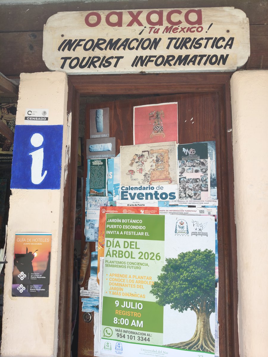 GinaMachorro's tweet photo. #special #DiaMundialdelArbol #Lamejor #Informacion #travel,#viajeros #walking #caminantes  #registrate w @GinaMachorro frente #HotelRocamar #lestgo #vamos #separtedelaactividad #partof #activity https://t.co/dpLjNicXHq