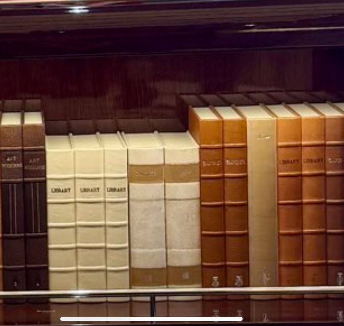 nickmmark's tweet photo. Of course a plane full of people who have never read a book has a bookshelf of fake books with titles like “Library” https://t.co/byUu16vKoW