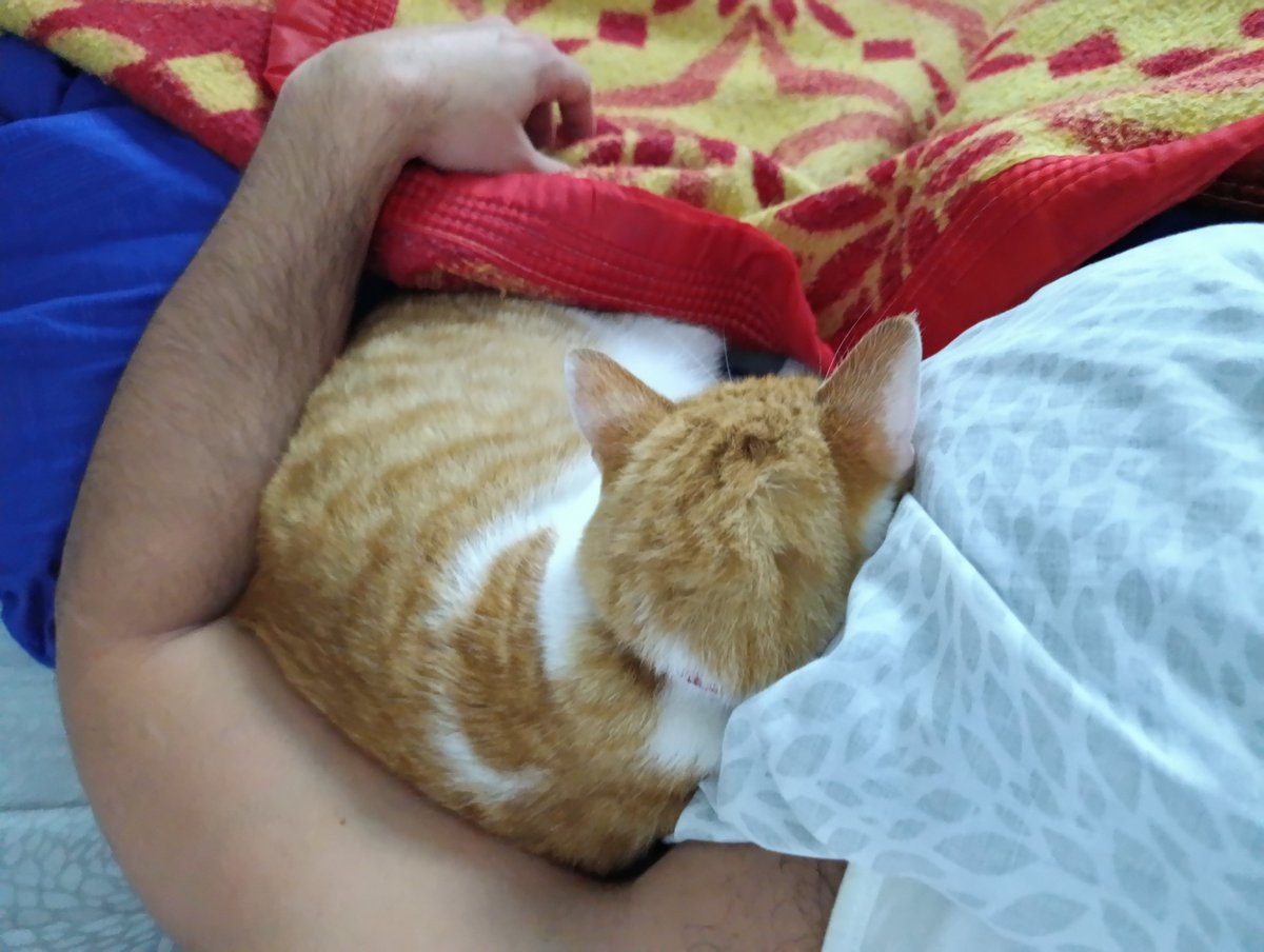 maxiilopezz's tweet photo. Lo más lindo de terminar el día es compartir esto con Nala. 
#Compañía #Felicidad #Moments #Paz #BuenasNoches https://t.co/BkvyCtnRgv