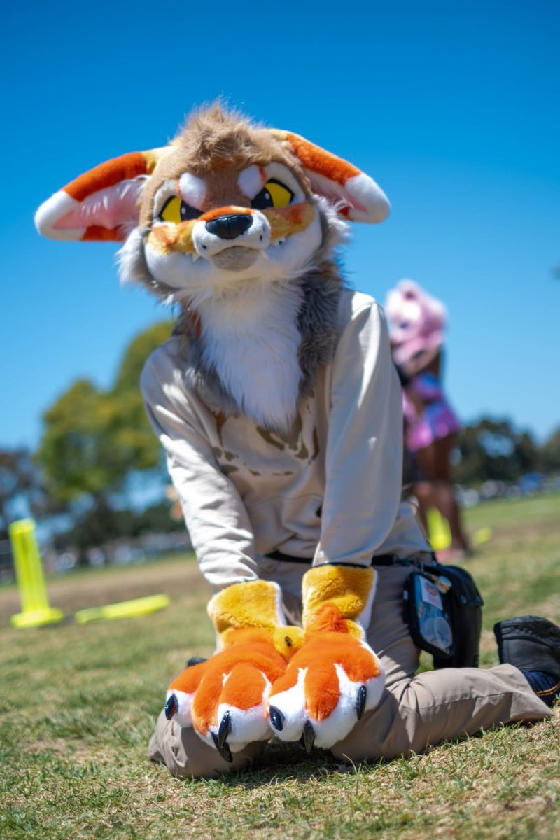 ArcTheSnep's tweet photo. Amazing I feel like a Nat Geo photographer spotting this creature in the wild on the twitter dot com, nah but fr Kafkell is awesome sauce~🍎✨ https://t.co/aA56McScFp