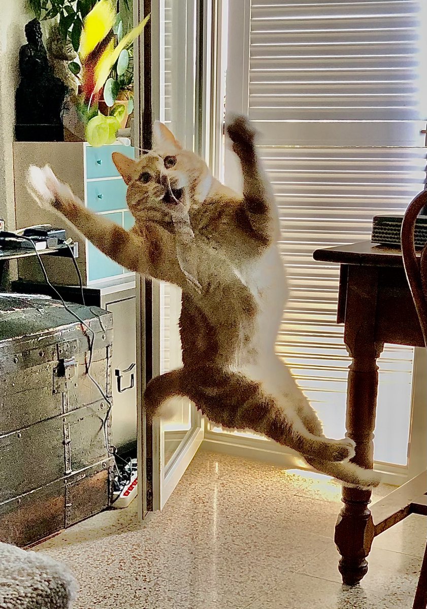 AlainHanel's tweet photo. BAROMÈTRE LULU...
Ça a pété hier en fin de journée, j'adore le tonnerre ça me fait sauter de joie...
Bonne journée !...
BvL. https://t.co/5iNYESXCA6
