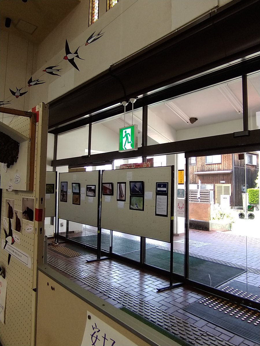 703falconala283's tweet photo. 安土コミュニティセンターで「つばめあつまるころ」
開催中です。玄関には、
コシアカツバメの巣があり、
活発に飛び交う2羽のつがいが観察できます。
4日土曜日が最終日。
お近くにお住まいのかた、
興味をお持ちのかた、ぜひ
お越しください😀🙌 https://t.co/H9cLWCDjja