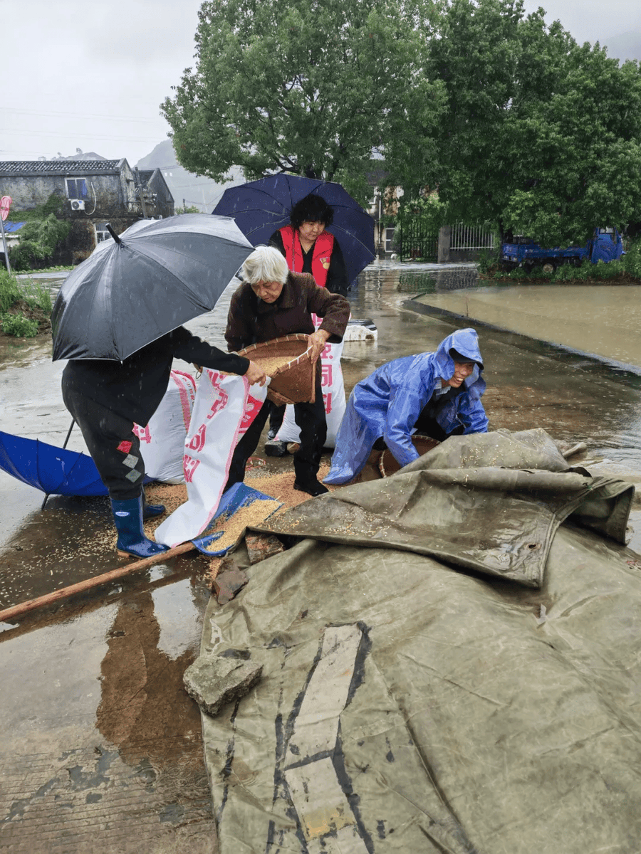 pathlavathbhee5's tweet photo. Neighbor helped carry my groceries in the rain today—small acts make big days brighter! Grateful for such a warm community. https://t.co/IM9FUKNIlk