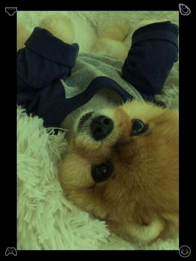 s832072255's tweet photo. 深夜的小吃让辛苦的一天变得值得。所有的努力与坚持，都能在温暖美味的宵夜中得到慰藉。💒鸡汤营养又满足。 https://t.co/DPOecIxNAP
