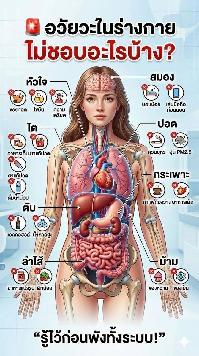 Pk96356's tweet photo. อวัยวะในร่างกายไม่ชอบอะไรบ้างมาดูกันคับ
ดูแลสุขภาพให้ดีนะครับ https://t.co/wFT9M8R6Fl