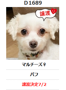 譲渡決定しました???