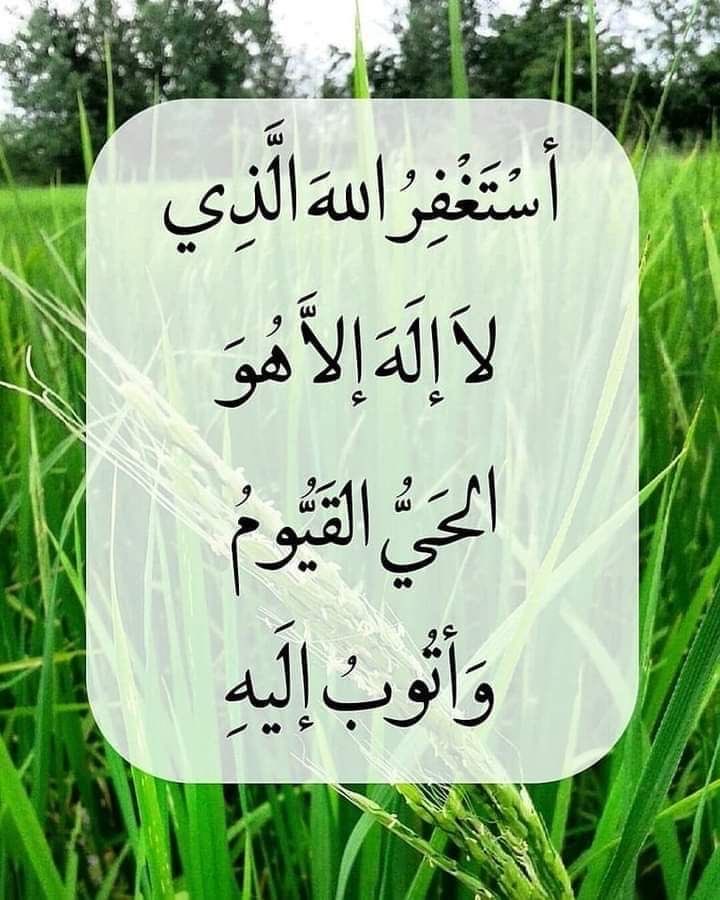 80Nwal's tweet photo. ◼️

  لاتملّ من الاستغفار ،،،،

◼️ https://t.co/Ht8Uog3Xsb