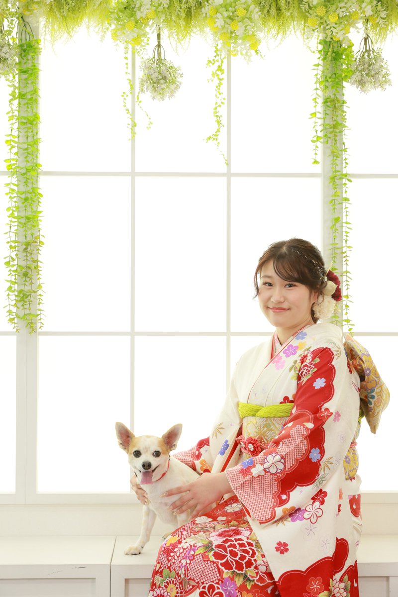 monami5999's tweet photo. こんにちは、スタジオもなみです✨
本日は振袖フォトをご紹介します👘

振袖姿での華やかなお写真や、わんちゃんと一緒の記念撮影もさせていただきました📷✨
函南本店では、大切な家族の一員であるわんちゃんとの撮影も承っております🐶

大切な記念写真をお任せいただき、ありがとうございました🥰

#振袖前撮り
#スタジオもなみ