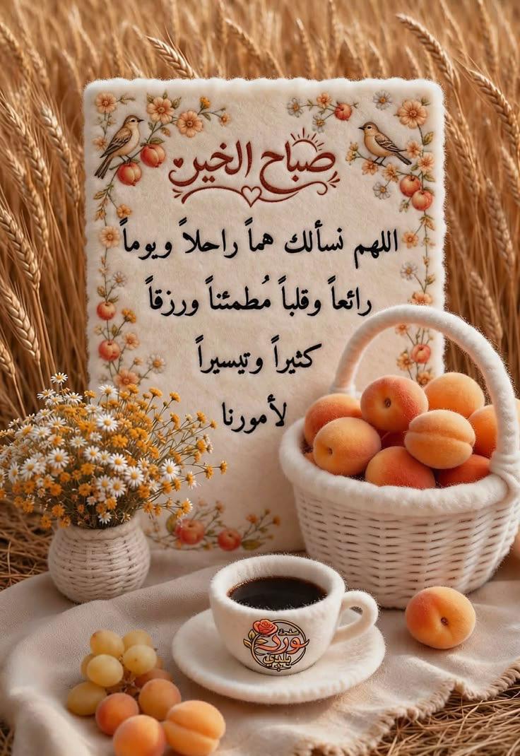 saud19766's tweet photo. https://t.co/UhnB1YTCg7