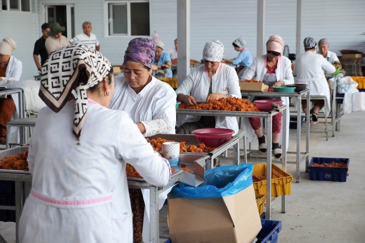 UNDPTJK's tweet photo. 🤝 #Tajik #Journalists participated in @UNDPTJK’s recent #PressTour to the Sughd Region, where they had the opportunity to meet beneficiaries, visit project sites, and see the impact of our work firsthand.
📖 Read NIAT "Khovar"'s story below 👇
https://t.co/kf6aaKaS0K https://t.co/mUMTxwpvPi