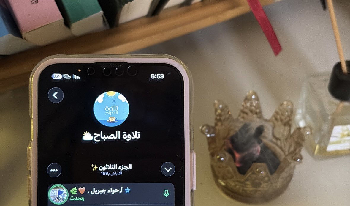 Itsarai10's tweet photo. الحمد لله نحن بخير ما دمنا في رحاب القرآن وما دامت قلوبنا تحيا بآياته ، نحن بخير ما دام في مقدورنا أن نحضر مجالسه وننهل من نوره ونستمع إلى من يتلوه ، 
فالحمد لله الذي مَنَّ علينا وشرَّفنا بهذا الفضل العظيم 🤍🌧️ https://t.co/Vo8PWZeHdj
