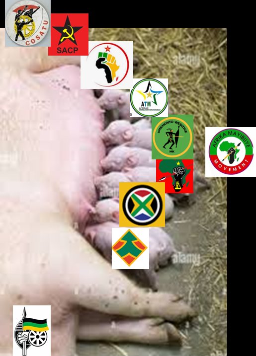 avindrenmudaly's tweet photo. @NalaThokozane 🫠 we are all eekwoul 🤗
✊🏿💚🤡🖤🤡💛✊🏿🤑🤑💰💰💸💸
😒 Its a Cadre filled club of elected #Kleptocracies where loyalties are bought with patronage, #irregularities #looting will resume 💰🫰🏿💰 shortly.
The #ANC, and their #Mafia are scammers
Know Your Enemy #SouthAfrica‼️ https://t.co/3mGr5x3DKT