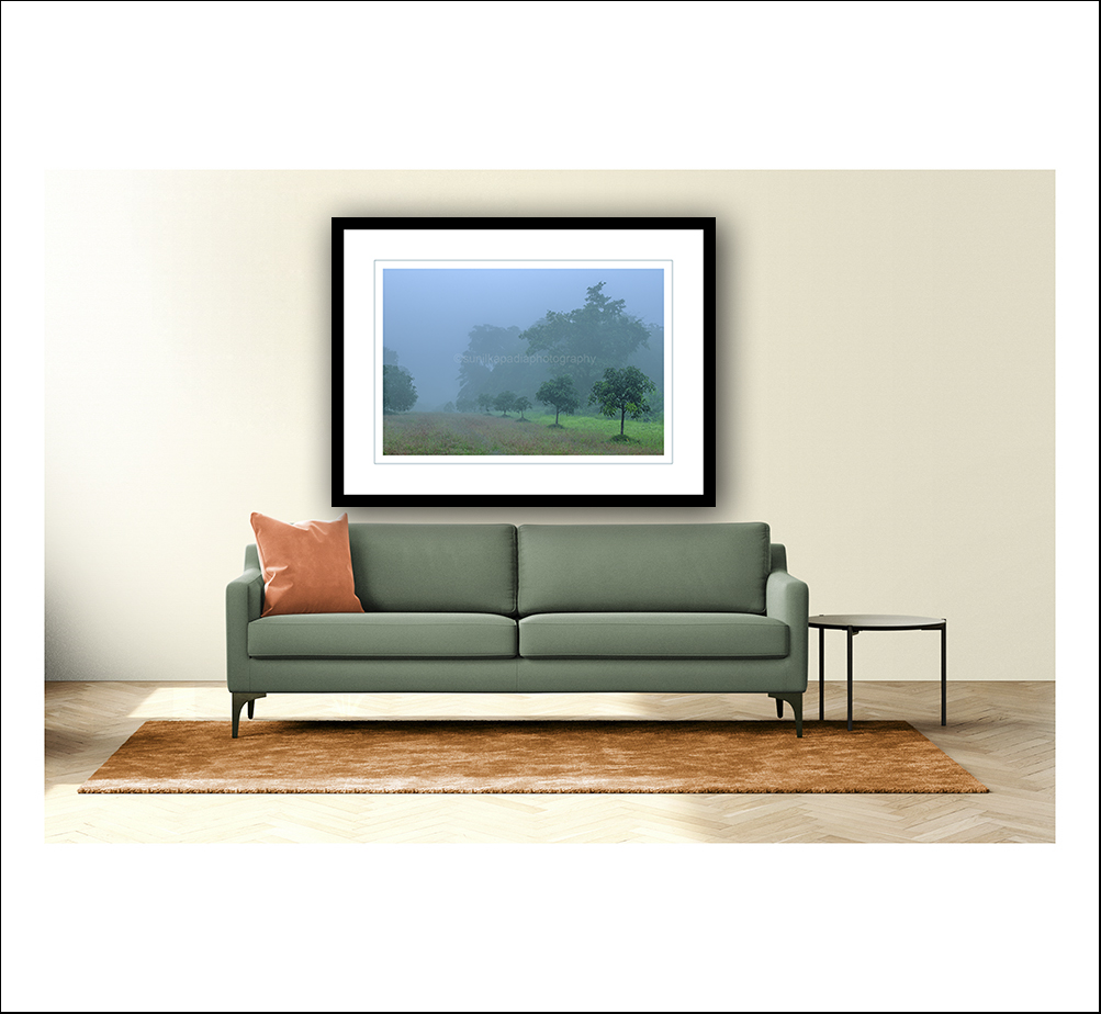 SunilKapadia19's tweet photo. _SSK1451 All In A Row.
Buy This Photo Art Print
#row #color #coorphotography #landscape #landscapephotography #small #growing #trees #line #diagonal #big #thick #fog #atmosphere #serene #tranquil #mystery #mysterious #green #greenery #verdant #blue #Malvan #Maharashtra #India https://t.co/RoBwaSLHH9