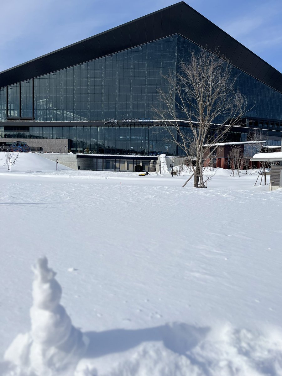 h_naruse's tweet photo. 雪の年末年始、エスコン近くの緑のカフェでコツコツ作った「パシフィック・リーグに連れてって」。まさか夏のエスコンで乃木坂さんに歌っていただける日が来るとは☺️夢見ることすら出来ませんでした!

乃木坂さん、フレップダンスにもご参加くださるそうです🦊

#乃木坂46 #パシフィック・リーグに連れてって #エスコンフィールド #lovefighters #フレップダンス