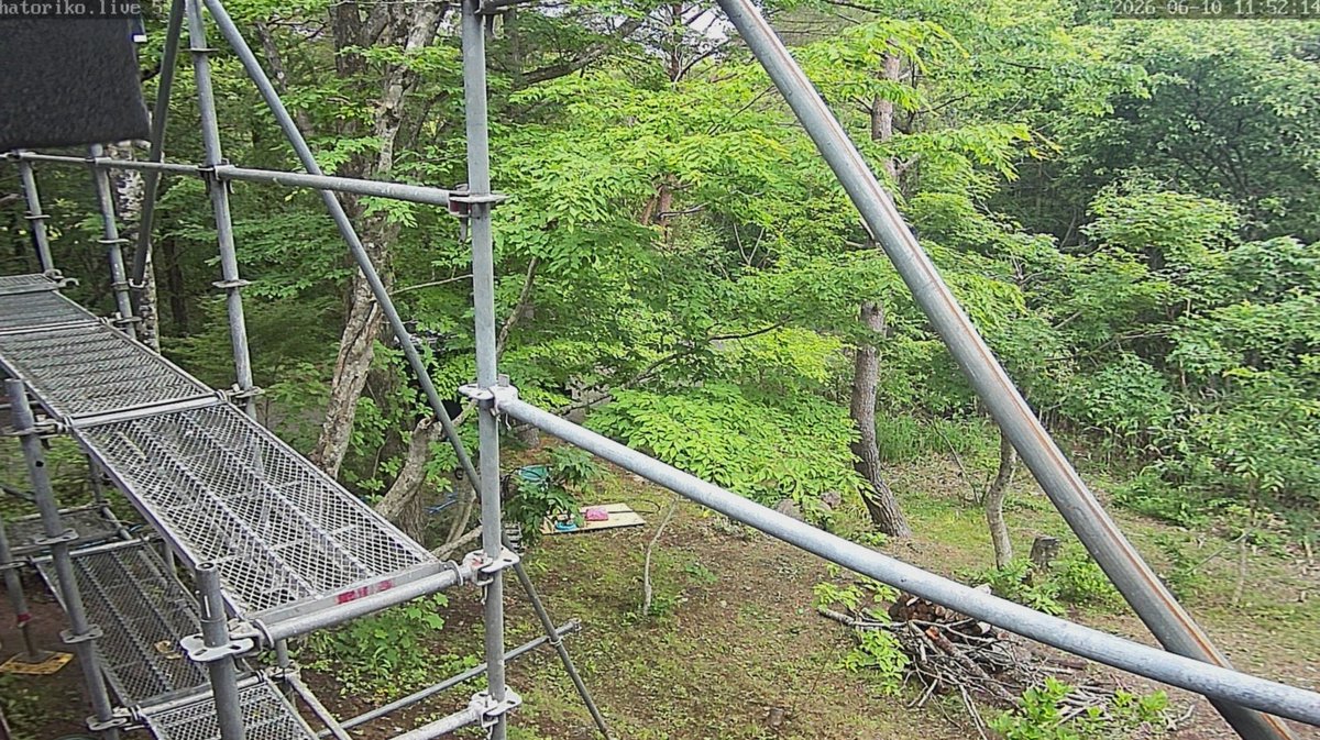 MustafaKourdi's tweet photo. 花粉症やコロナの時期に帝王切開してた人は、どうやって鼻をかんだり、咳をしたりしてたの？無理すぎない？
子供のために買った鼻吸い器使いたくなる笑 https://t.co/87ZOlTepZc