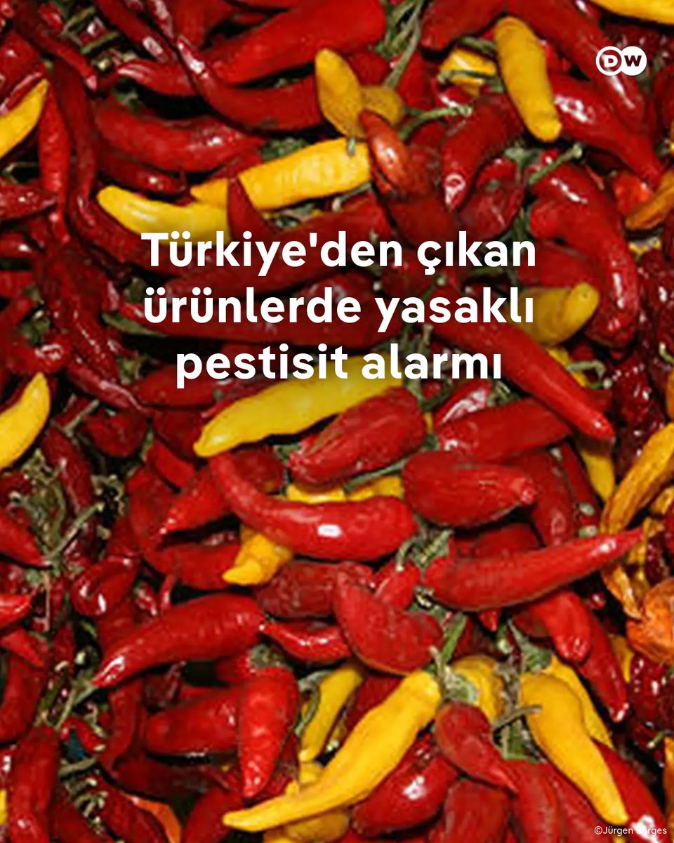 dw_turkce's tweet photo. Bulgaristan bu yıl Türkiye'den gelen biber yüklü tırları 25 kez geri çevirdi

AB'ye ihraç edilen ürünlerde Tarım ve Orman Bakanlığı'nın yasakladığı pestisitler tespit edildi

@pelinunker

🔗 https://t.co/G2aEGveA5X https://t.co/yybVcX6lwk