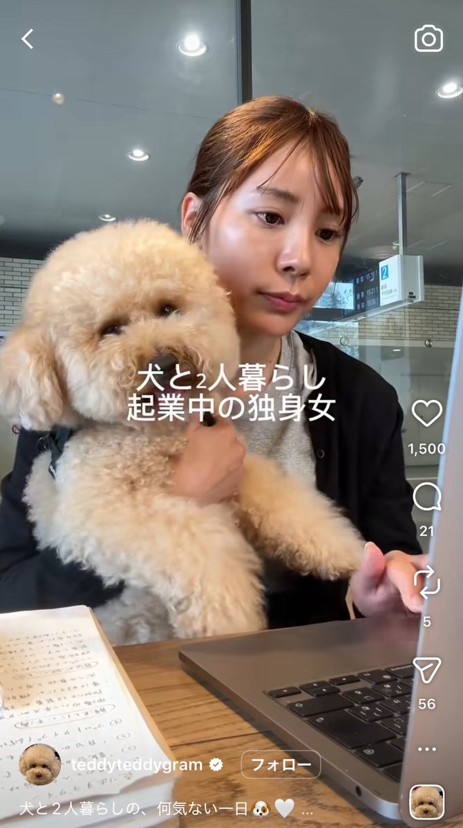 こりんちゃん tweet media