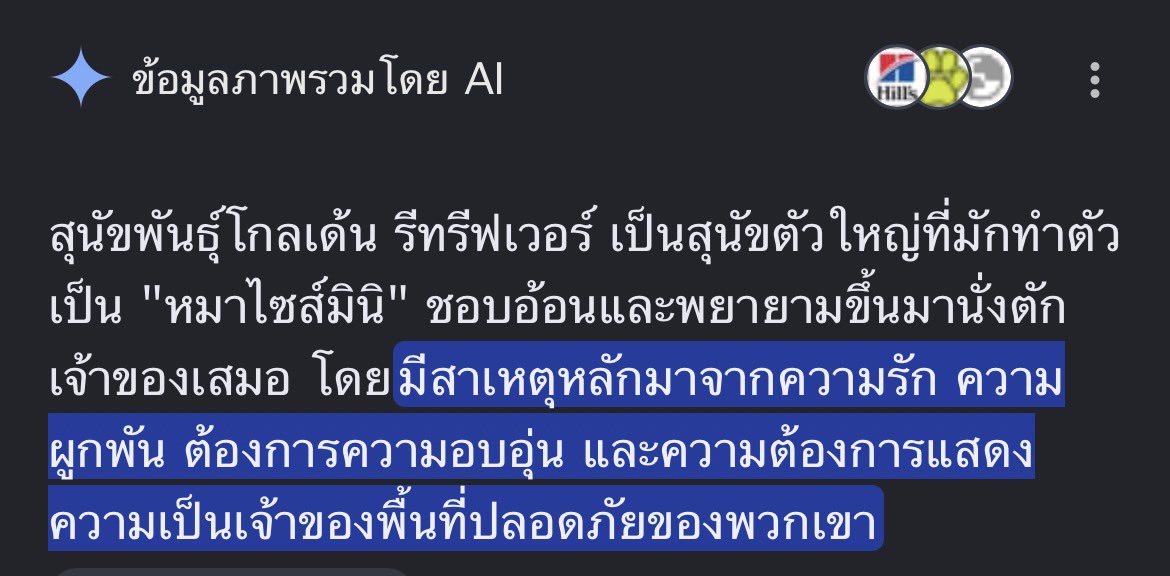 chanapiee's tweet photo. เค้าว่าม๋าใหญ่จะหวงเจ้าของเป็นพิเศษ  ยิ่งพวกพันธุ์ใหญ่ๆแบบโกลเด้นงี้อ่ะ ชอบคิดว่าตัวเองตัวเล็กตัวน้อยมากมั้ง พยายามนั่งตักเจ้าของให้ได้ ฟิลๆพื้นที่ปลอดภัยงี้ป่ะ 
ตอนแรกไม่เชื่อนะ จนมาเจอกับตัว จนมาเห็นกับตา จื่อบ่ 👁️🫦👁️ เก่งมองตาแม่
#KengNamping https://t.co/UAtw84KCEK