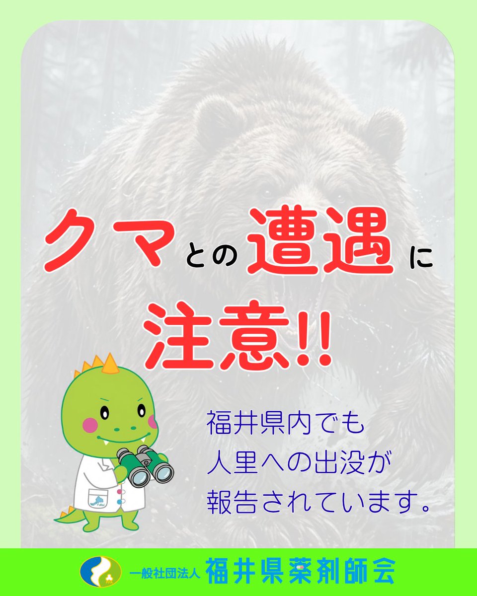 クマ