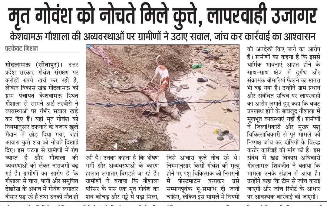 pradeep69588147's tweet photo. ब्लॉक गोंदलामऊ की ग्राम पंचायत केशवामऊ में मृत गोवंश को नोचते मिले कुत्ते, लापरवाही उजागर, प्रशासन कब करेगा कार्यवाही @AmitShah @CdoSitapur @ChiefSecyUP @CMOfficeUP @myogiadityanath @narendramodi @sitapurpolice @UPGovt @dm_sitapur @DdoSitapur @DproSitapur @Uppolice  @DyCMGoUP https://t.co/0J0g6dIedE