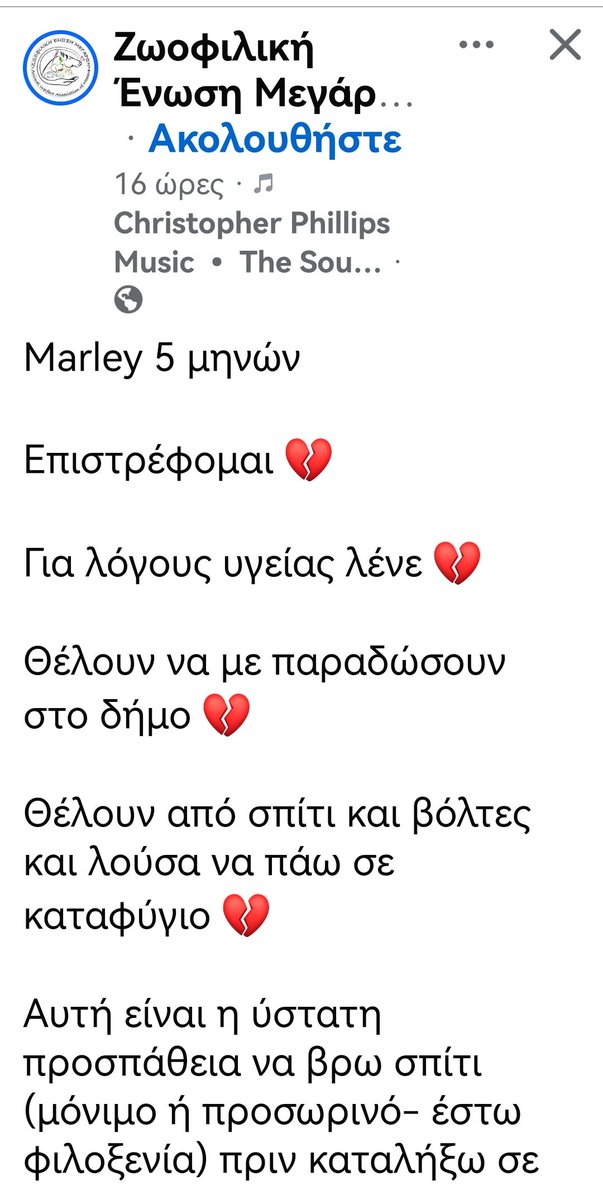 Christinalirou2's tweet photo. ‼️🆘‼️🆘‼️🆘‼️
Παιδιά κοιτάξτε έναν παίδαρο έναν κούκλο. Τον λένε Μάρλεϊ κ οι κηδεμόνες του τον επέστρεψαν για λόγους υγείας.... Φιλοξενείται αυτήν την στιγμή. Κοινοποιούμε παιδιά μήπως βρεθεί οικογένεια που θα το αγκαλιάσει κ θα περάσει την ζωούλα του μαζί τους για πάντα 🏡🐕❤️ https://t.co/KL6bpzSv0M