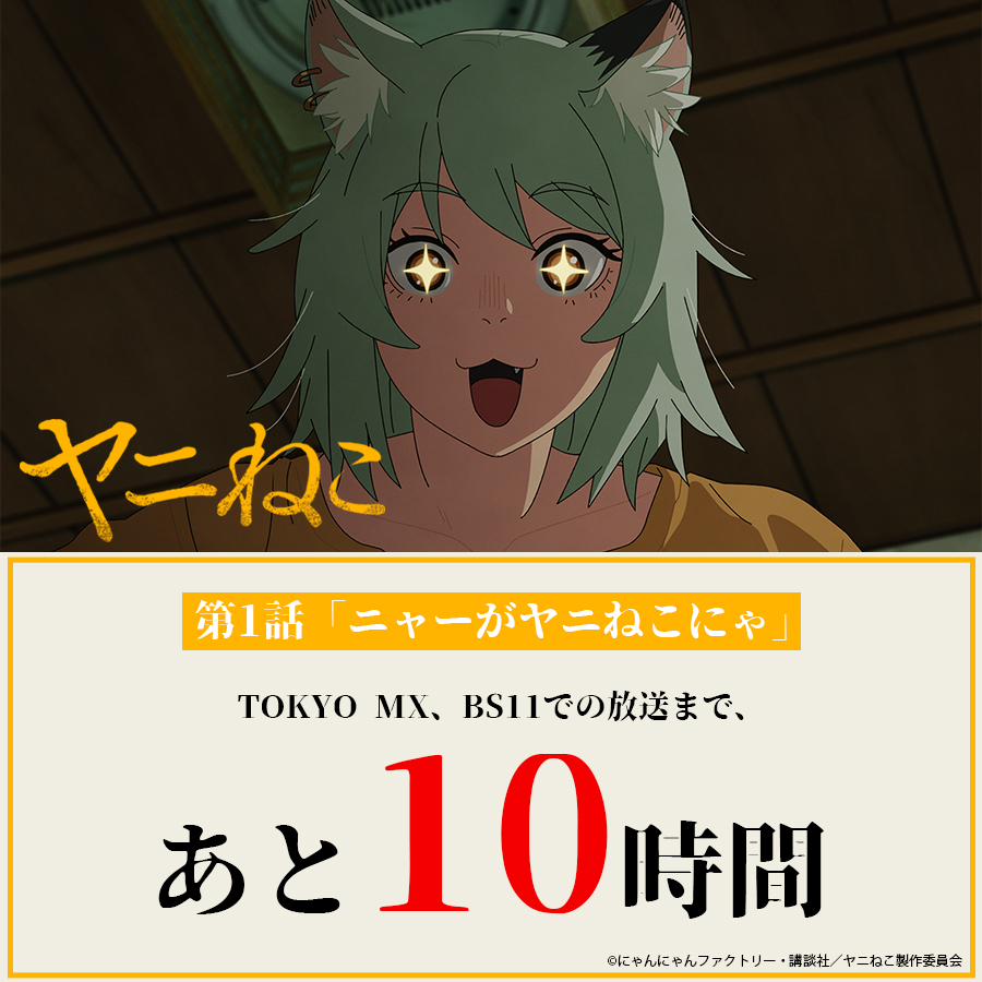 yanineko_anime's tweet photo. ╭━━━━━━━━━━━━━╮
　　TVアニメ『#ヤニねこ』
　　放送まで、あと10時間
╰ｖ━━━━━━━━━━━━╯
　🚬

第1話「ニャーがヤニねこにゃ」
本日から放送&amp;配信！

TOKYO MX、BS11：7/2(木)24:30〜
AT-X：7/25(土)24:30〜

7/2(木)25:00～Netflixほか各配信サイトにて順次配信開始！ https://t.co/ww2ymchmjY