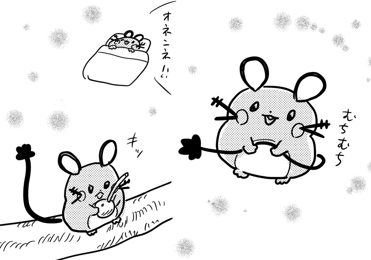 29togura's tweet photo. #デデンネの日
一番好きなポケモン　デデンネ
ぬいぐるみが家にいっぱい居る https://t.co/xmqgyQTd5r