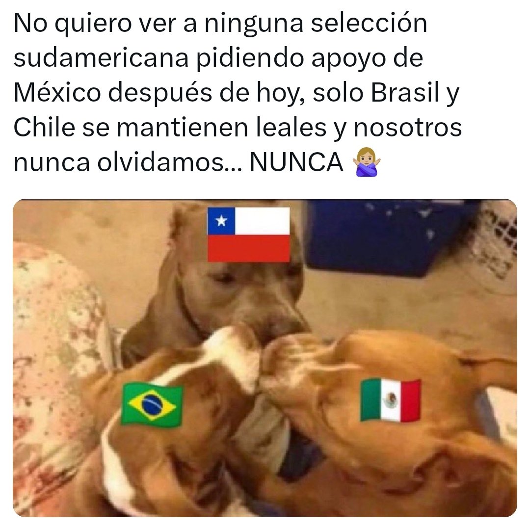 Malagón tweet media