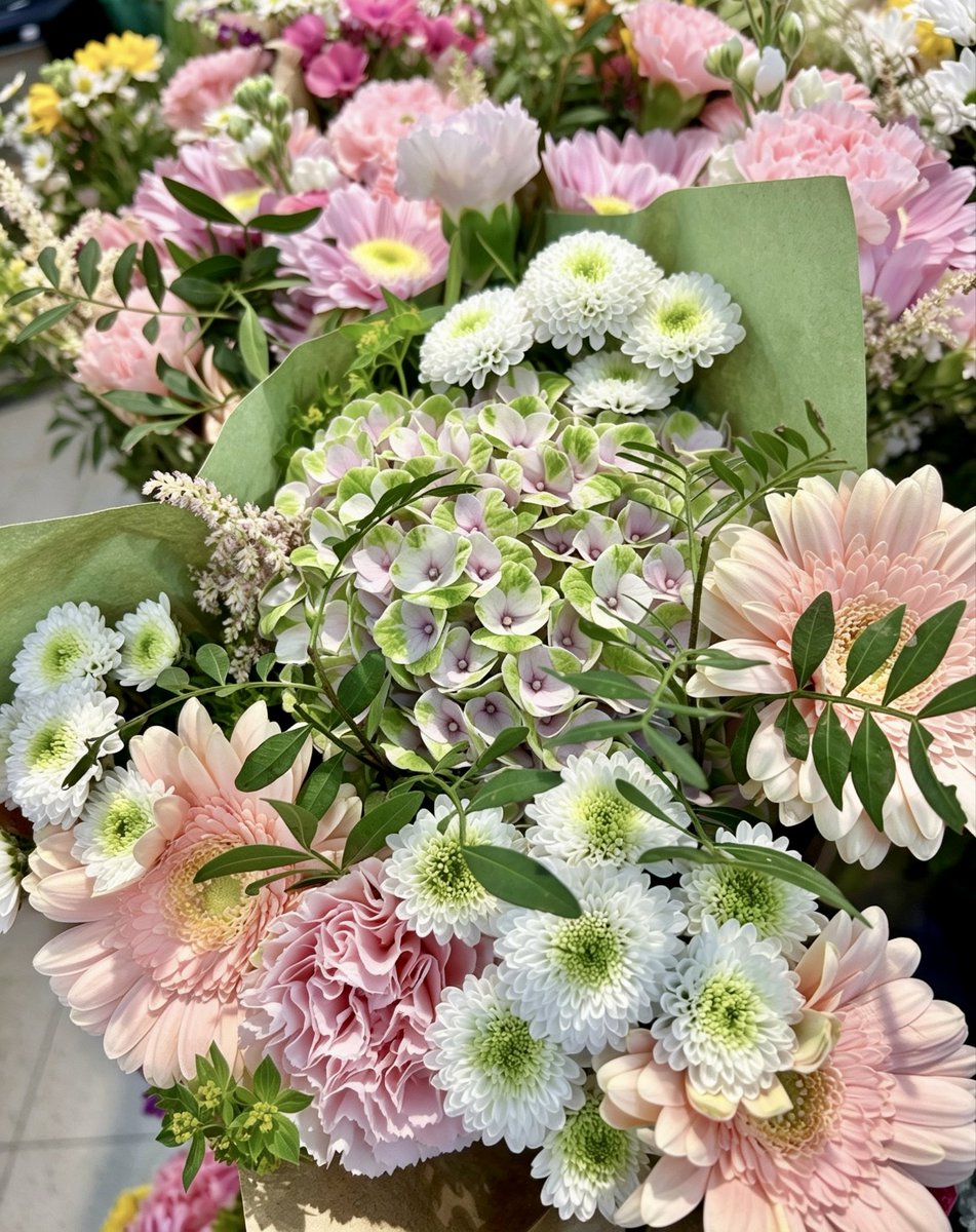 Flowerjv2's tweet photo. Welcome, dear July,
the gentlest heartbeat of summer 🩷🌿

📸 1.7.2026 me https://t.co/eFLUIes3l1