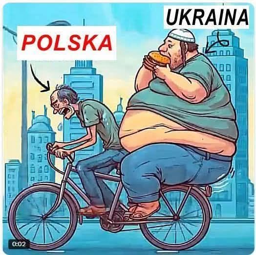 86Marciniusz's tweet photo. @misiek7903 https://t.co/PBDefy9YJ4