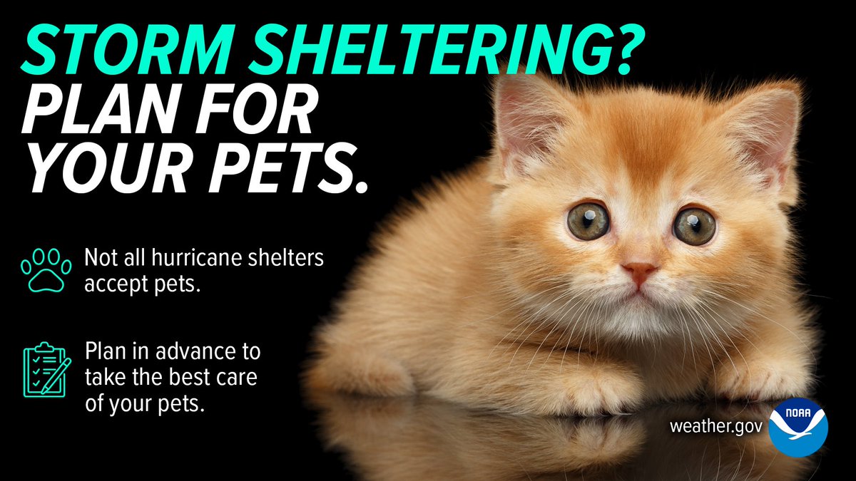 NWSGuam's tweet photo. What would you do with your pets during a typhoon? Prepare for the worst by assembling an animal emergency supply kit and developing a pet care buddy system. Visit https://t.co/re2g9ukt7Q to make a plan. #TyphoonPrep https://t.co/L6H6DjfRQt