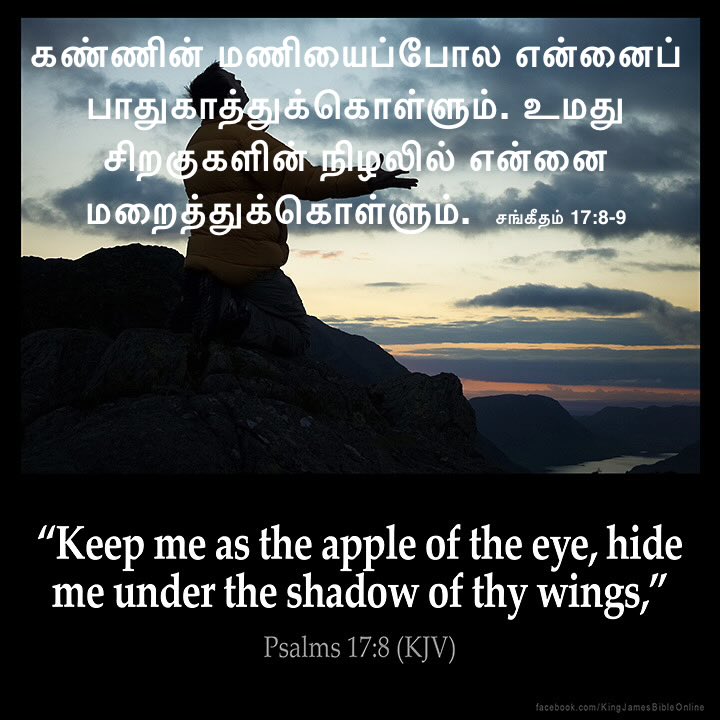 DhamodharanPr's tweet photo. Nice Day to You🙋‍♂️! ஆண்டவர் இயேசுவை தேடுவோம்; அருளைப் பெறுவோம்! Seek the Lord and His Grace! https://t.co/PTOOFyl6JD