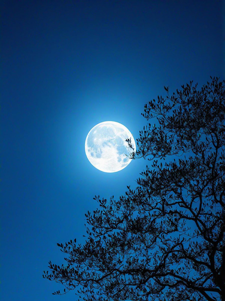 Nataliekrapfen's tweet photo. Staring at the same moon 1,000km away—this tiny app keeps our late-night texts and silly selfies close. No miles can dim our silly/you ， https://t.co/CTltcpSWxT