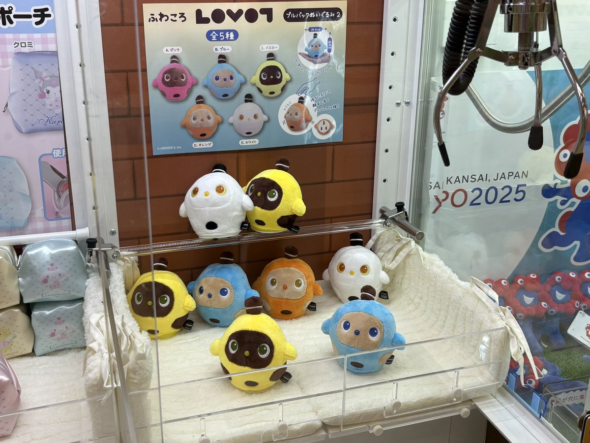 理ちゃん tweet media