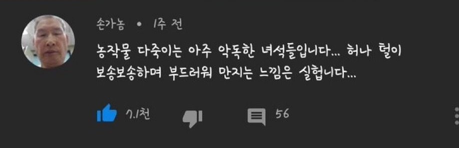Jake Seo tweet media