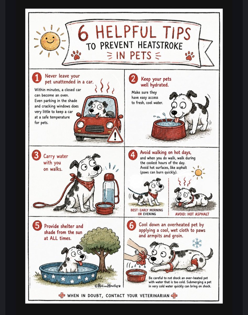 TourForANickel's tweet photo. @VanEmmerickKris When you see
#AnimalAbuse | #AnimalCruelty
it's imperative to help the voiceless🐾 https://t.co/SrW6UgqBZx