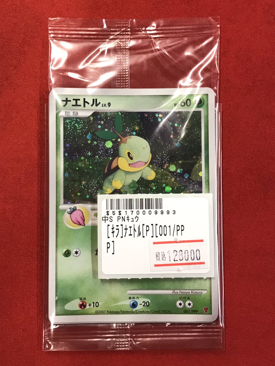 ポケカ 【入荷情報🆕】 激レアプロモカード入荷しました✨✨ ナエトル