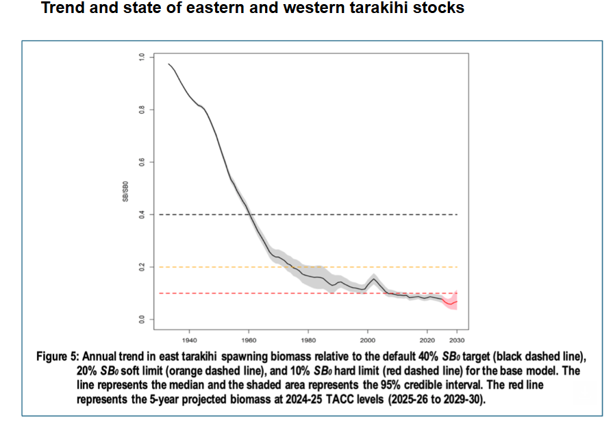 RusselNorman's tweet photo. Yet another catastrophic failure of the NZ fisheries management system, a system captured by the fishing industry. Tarakihi stocks collapse. https://t.co/U85LNyof0K