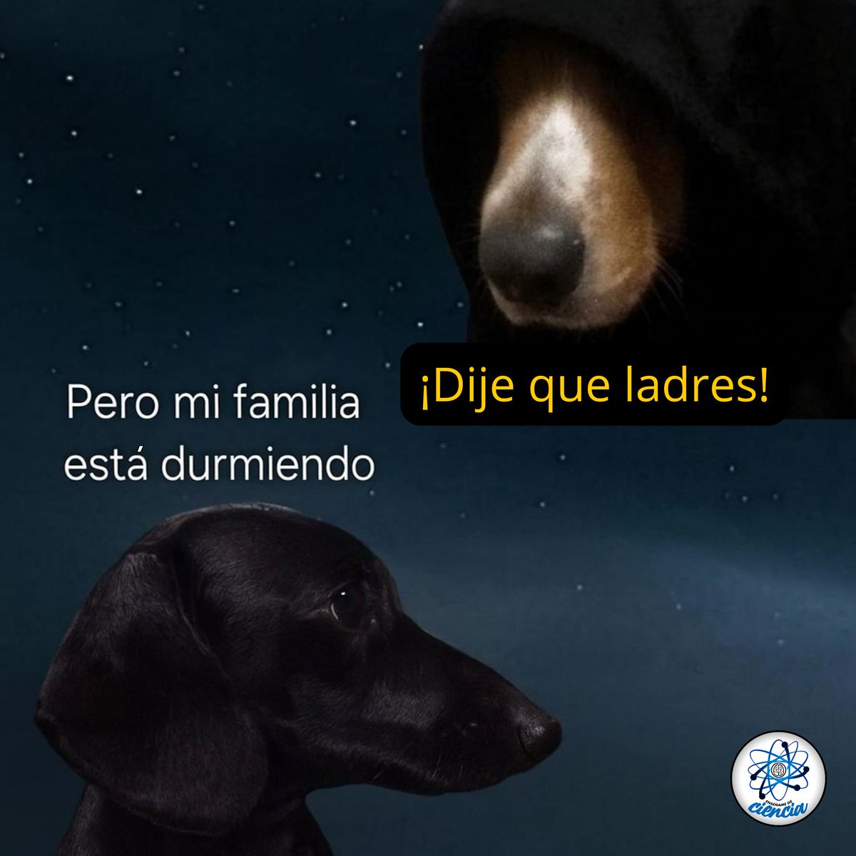 EnsedeCiencia's tweet photo. Así que esa es la razón. 😳 https://t.co/jYh2Z9xxxg