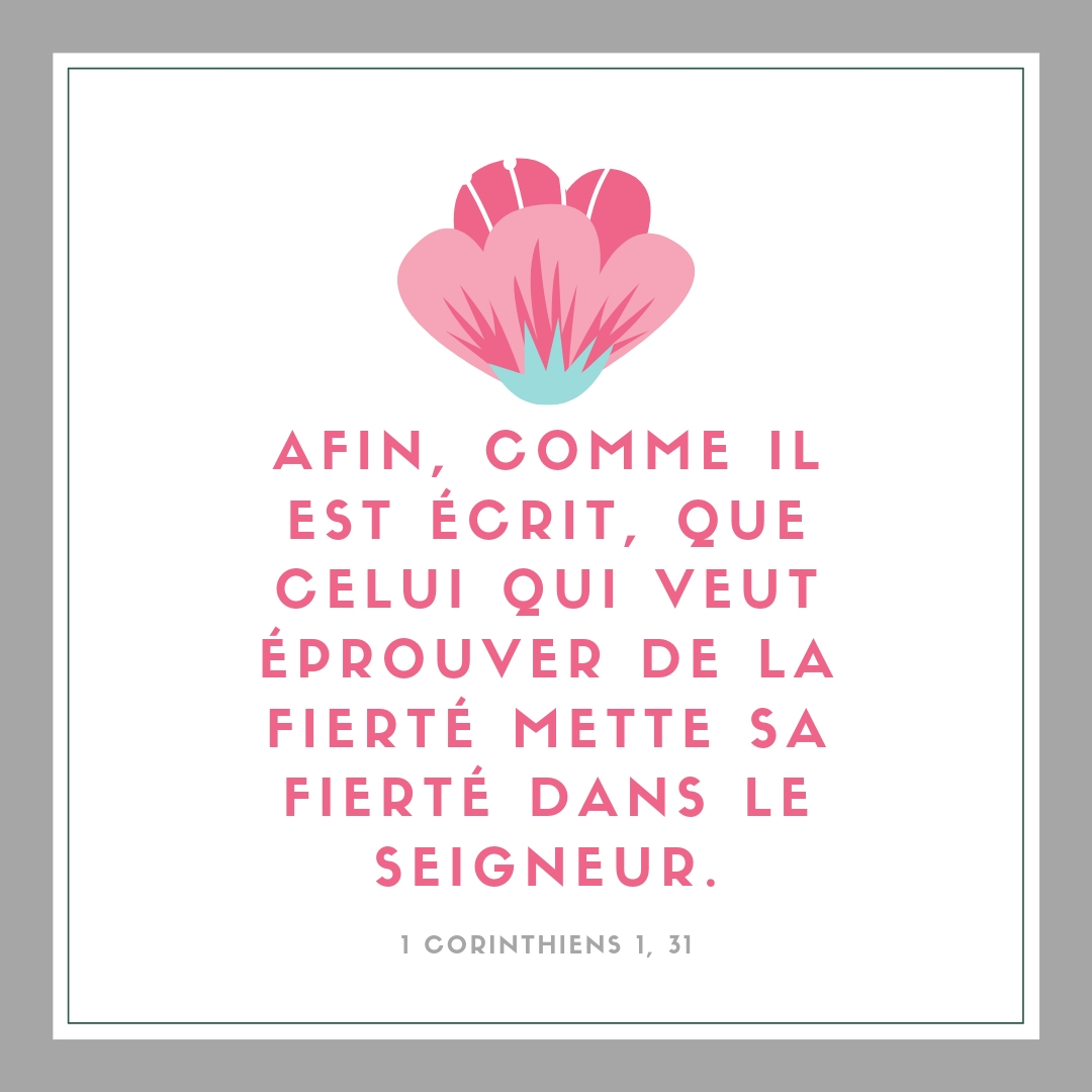 la_Bible tweet picture