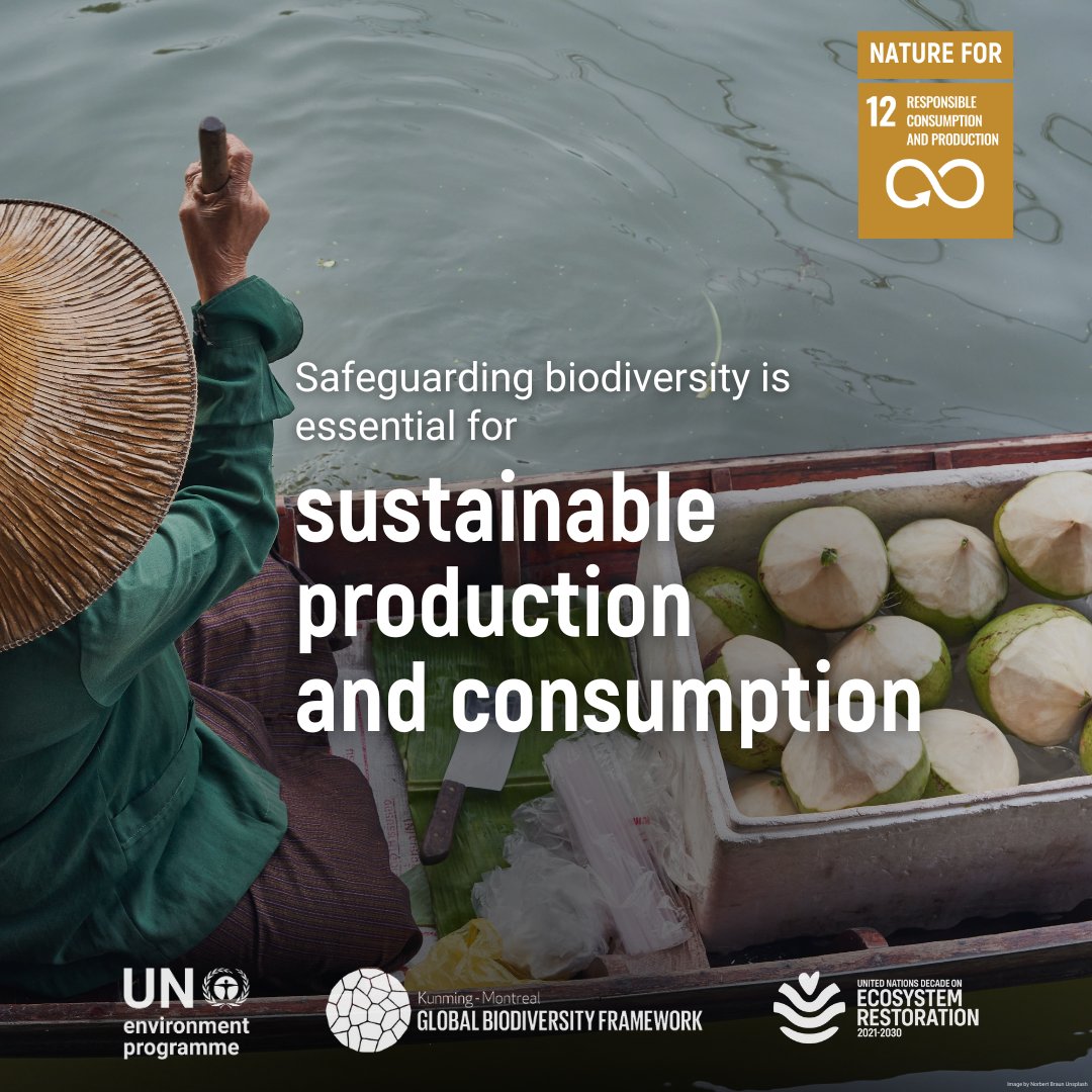 UNEP tweet picture
