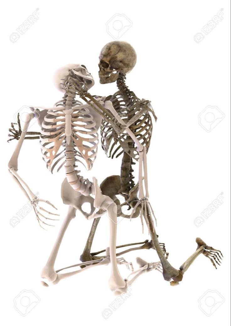 ribicious's tweet photo. Hey @grok , turn these skeletons couple into real humans.💀 https://t.co/jqBWBPK3K7