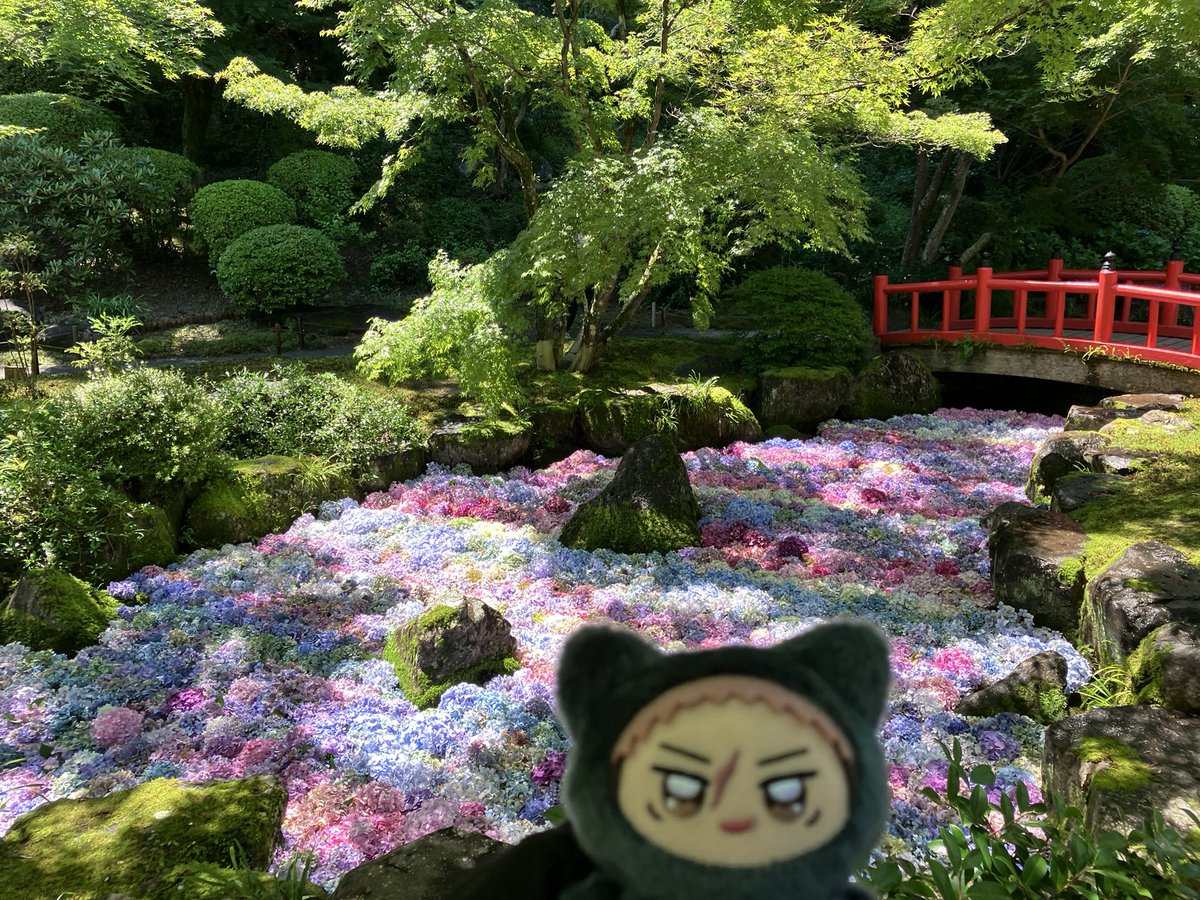 penta34sai's tweet photo. 野良ちみゆちゃん、初めてのおでけけ✨
これは6/30に行った佐賀の祐徳稲荷神社の庭園の紫陽花とおはこ餅ソフト🍦
めちゃくちゃ晴れてたね☀️
おもいであげあげ。
#じゅじゅぬい https://t.co/tdiiWQIiqV
