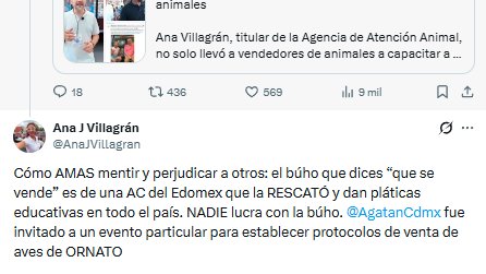 Lucía Hernández | Amo La Ciencia tweet media