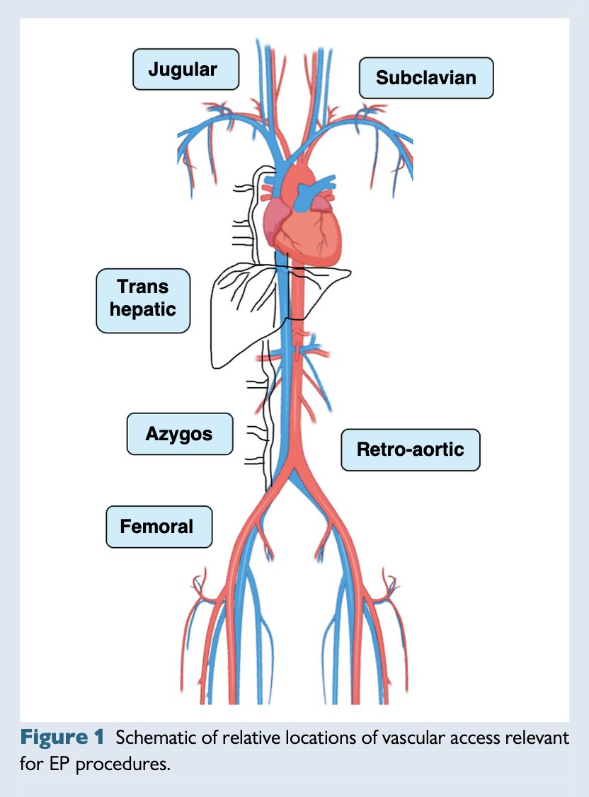 EHRAPresident tweet picture