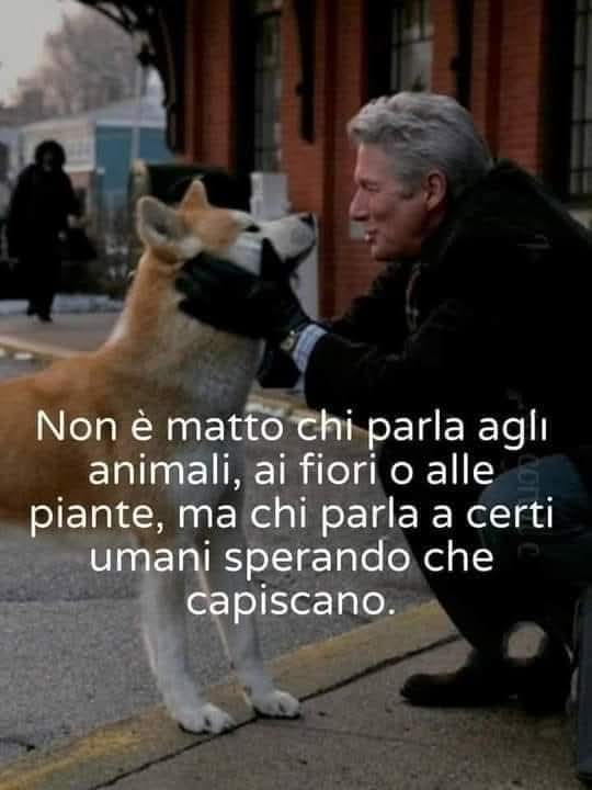 CuoreIschitano's tweet photo. https://t.co/fS8jNbXCiG